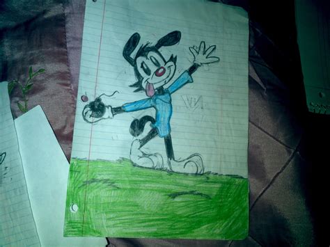 Wakko Warner By Oswaldaf On Deviantart