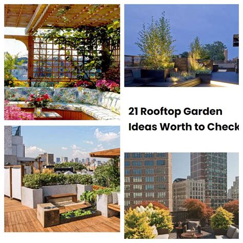 Rooftop Garden Ideas Worth To Check Sharonsable