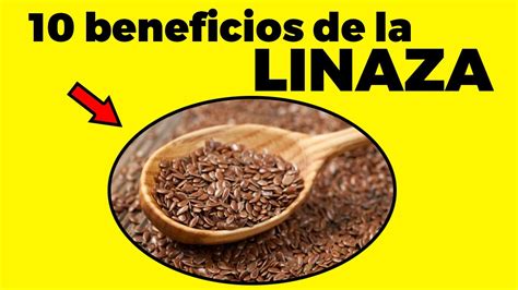 Para Qu Sirve La Linaza Beneficios Que No Conoc As Y C Mo