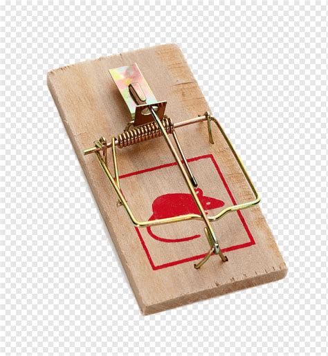 Mousetrap Trapping Rodent Mouse Trap Pest Control Mouse Rat Png