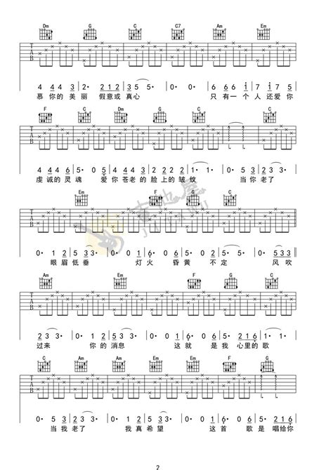 当你老了吉他谱赵照当你老了c调原版指法弹唱六线谱 搜谱啦
