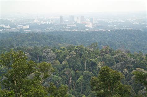 Taman Botani Negara Shah Alam Bukit Cerakah Rainforest Journal