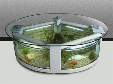 Round Fish Tanks - NUKPIC.STORE