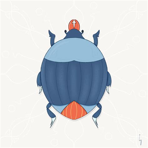beetles  behance