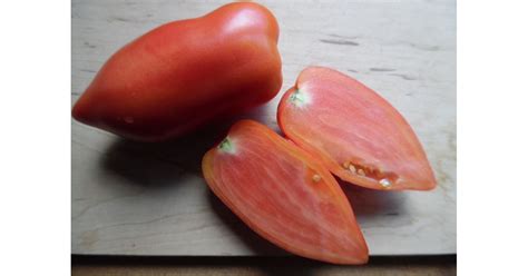 Korean Long Tomato