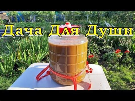 Домашнее ЯБЛОЧНОЕ ВИНО по-новому🍏🍏🍏 - YouTube