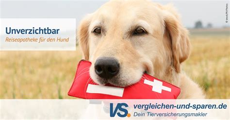 Reiseapotheke für Hunde unverzichtbar für den Urlaub VS