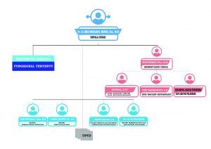 STRUKTUR ORGANISASI DISDUKCAPIL KOTA TASIKMALAYA