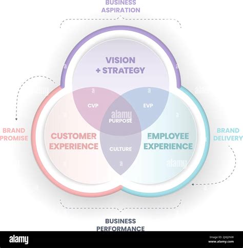 Brand Strategy Venn Diagram Has Vison Image And Culture Is Key To