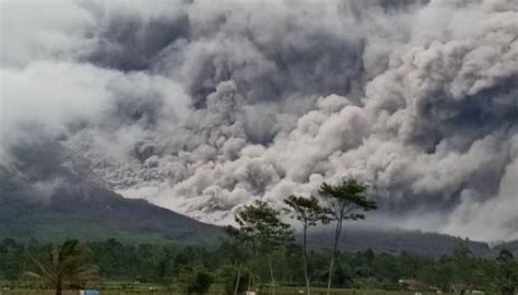 Terkini Gunung Semeru Kembali Meletus