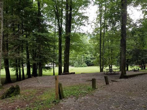 Black Mountain Campground, National Forests in North Carolina ...