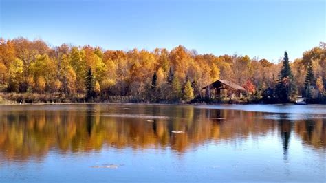 Big Bog State Recreation Area Explore Minnesota