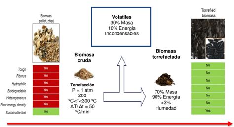 Esquema del balance de masa en la torrefacción Fuente Elaboración