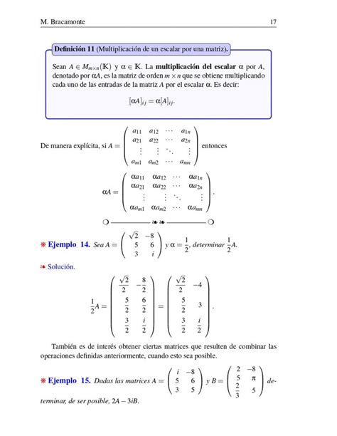 Matrices Lgebra Lineal