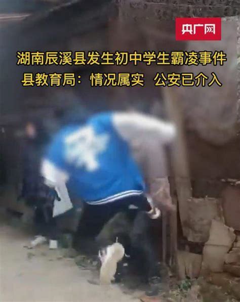 湖南某中学初中女生遭霸凌，同村乡邻到学校讨说法，满满的安全感 腾讯新闻