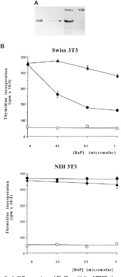 Figure 1 From A Benzo[a]pyrene Induced Cell Cycle Checkpoint Resulting In P53 Independent G1