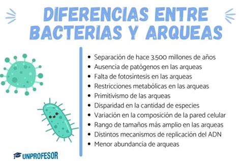 Diferencias Entre Bacterias Y Arqueas