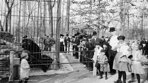 Natch the bear | The first animal at the Memphis Zoo | localmemphis.com