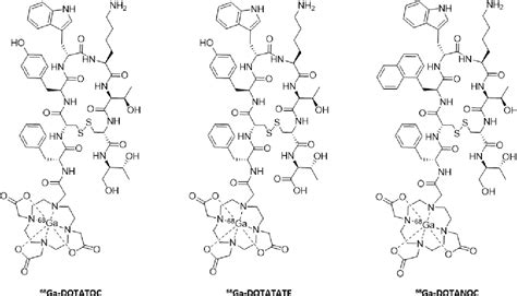 Figure 7 from Overview of Radiolabeled Somatostatin Analogs for Cancer Imaging and Therapy ...