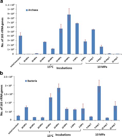 Absolute 16s Rrna Gene Copy Number Derived By Q Pcr Analysis Abundance