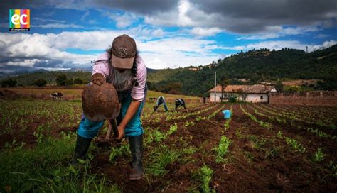 Una declaración que reconoce y protege los derechos de los campesinos