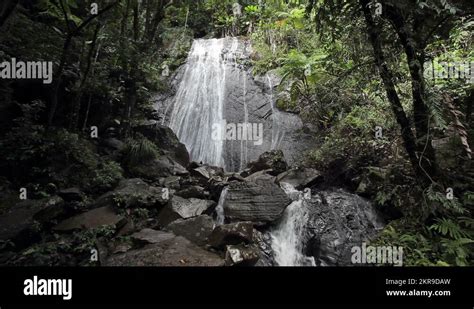 Puerto Rico El Yunque National Park Stock Videos Footage Hd And K