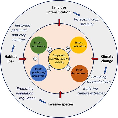 Insect Diversity For Agroecosystem Resilience In A Changing Climate