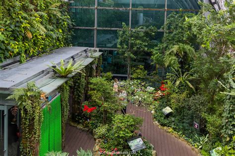 How To Visit The Beautiful Singapore Butterfly Garden At The Airport