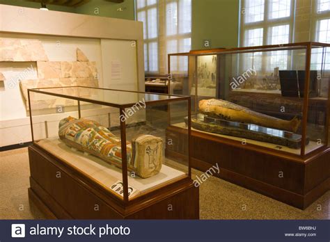 Ancient Egyptian Mummies Oriental Institute Hi Res Stock Photography