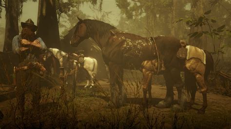 Loving the free DLC with new horse breeds : r/RDR2