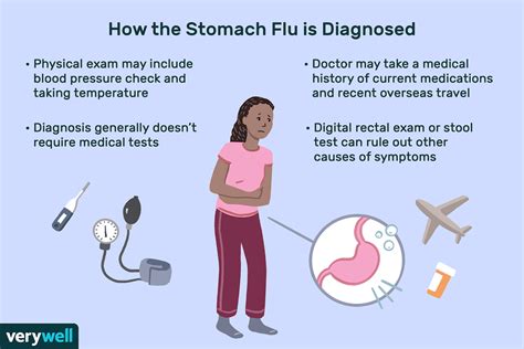 Stomach Bug With Fever Going Around 2024 Erina Jacklin