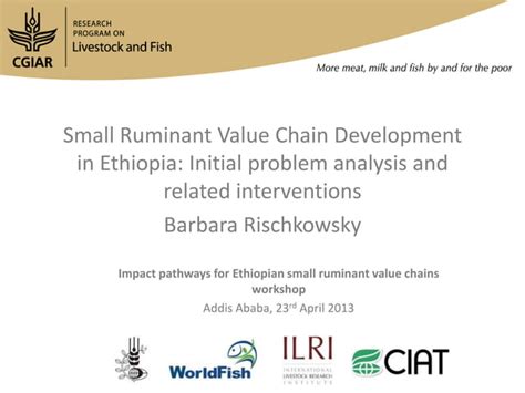 Small Ruminant Value Chain Development In Ethiopia Initial Problem