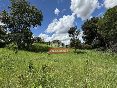 Mil Fazendas Fazenda Para Pecu Ria Alqueires Hectares