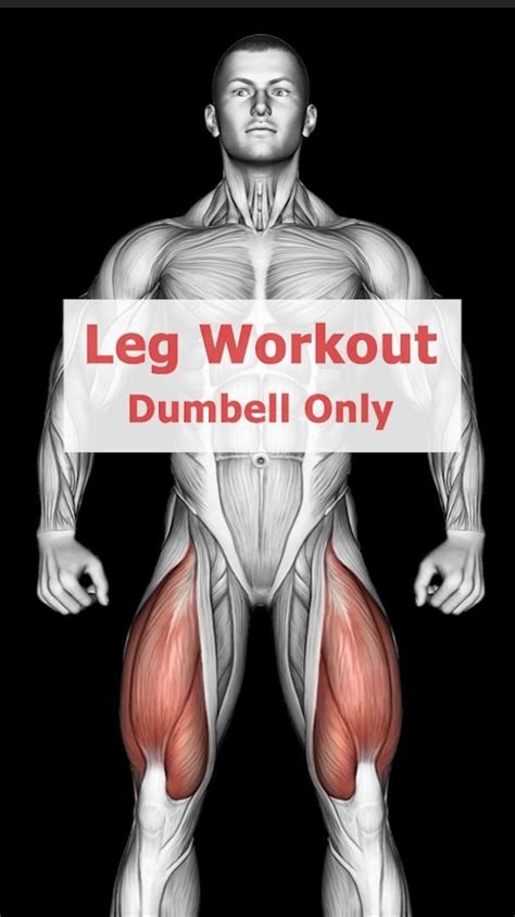 Sculpted Legs Await Dive Into Our Dumbbell Only Leg Workout For