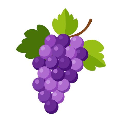 Un Dibujo De Un Racimo De Uvas Con Una Hoja Verde Vector Premium