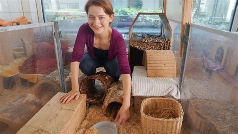 Sommerjobs In M Nchen Tierpflegerin Im Tierheim Abendzeitung M Nchen