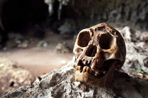 The Untold Story Of The Curiously Controversial Homo Floresiensis Dig