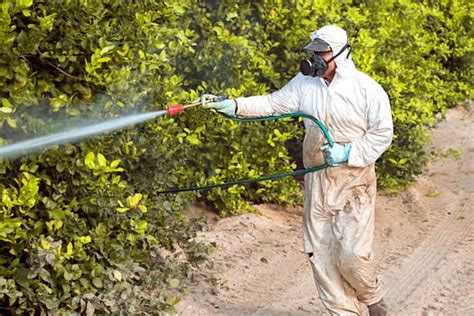 UE Bruselas propone reducir el uso de pesticidas químicos un 50 para