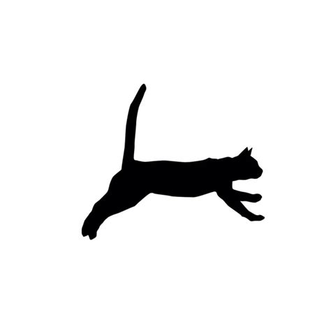 Cat Silhouette Stock Vector Image By ©rashad Ashurov 56392851