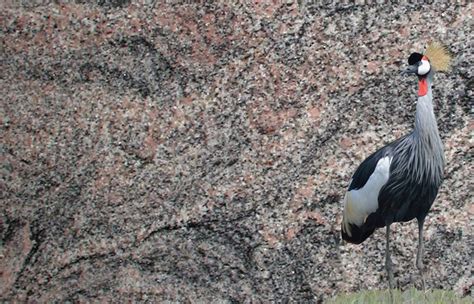 Kinawa aus dem Granit - Sortiment von Wieland Naturstein