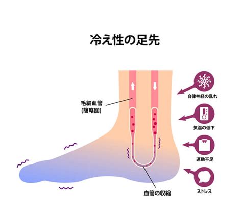 ハルメク365｜50代からの女性の毎日が面白くなるサイト