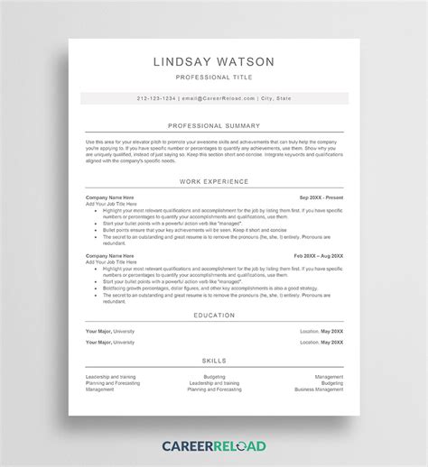 Microsoft Word 2024 Resume Template 2024 Janka Lizette