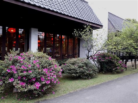 THE 15 BEST Things to Do in Taoyuan District - 2022 (with Photos) - Tripadvisor