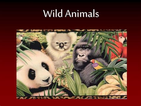 PPT - Wild Animals PowerPoint Presentation, free download - ID:1359851