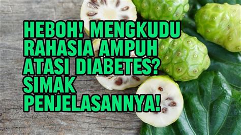 Heboh Mengkudu Rahasia Ampuh Atasi Diabetes Simak Penjelasannya