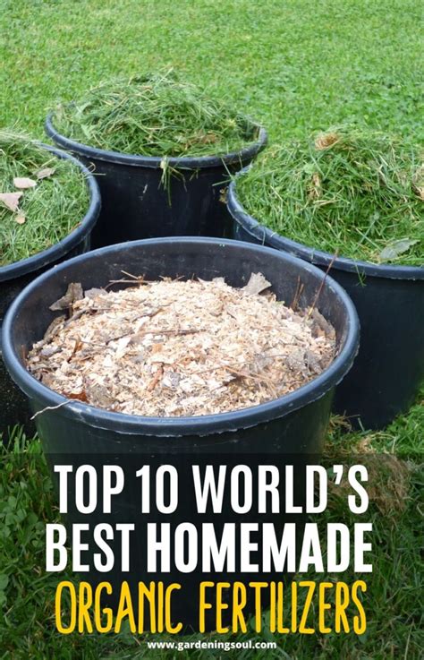 Top 10 Worlds Best Homemade Organic Fertilizers