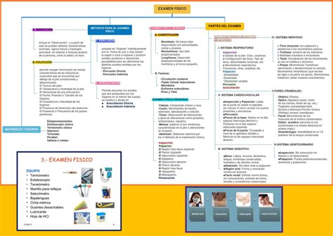 Mapa Conceptual Examen Fisico Por Regiones Metodología Del Cuidado De