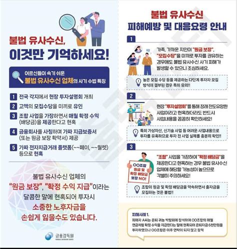 금감원 어르신 대상 불법 유사수신·보이스피싱 피해예방 홍보 실시 네이트 뉴스