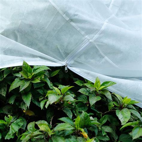 High Quality Antifreeze Shields Protect Your Plants From Frostbite In