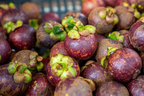 Manggis Buah Buahan Makanan Foto Gratis Di Pixabay